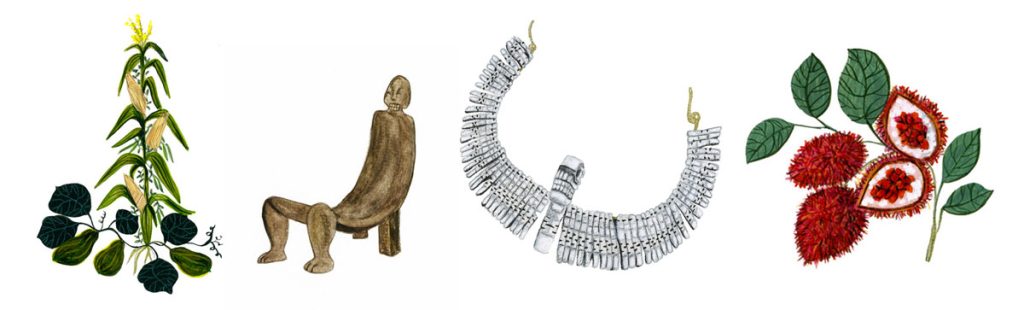 Pages du livre 1492, Anacaona l'insurgé des Caraïbes, ed. Anacaona. Illustrations Claudia Amaral: une plantation, une chaise et un collier Taïno, fruit du Roucou